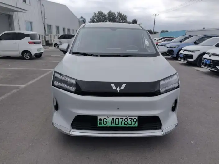 Xingguang 730 EV 2025 Model 500km Luxury Model
