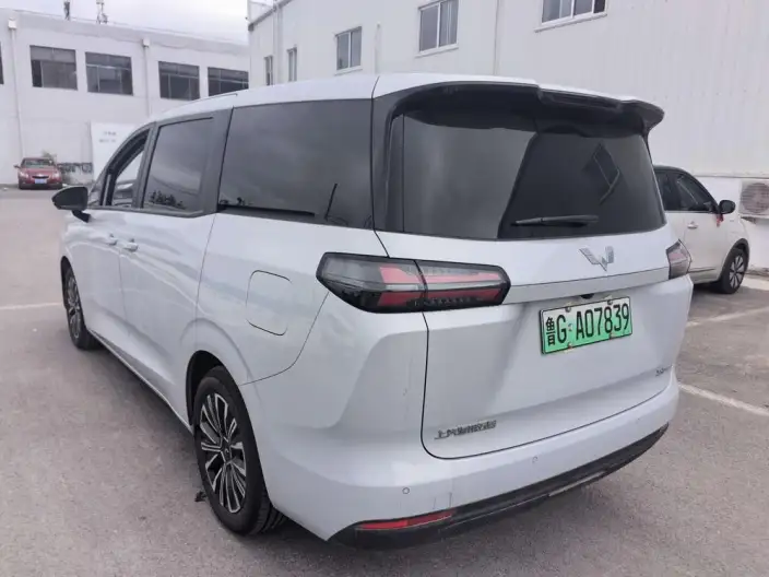 Xingguang 730 EV 2025 Model 500km Luxury Model