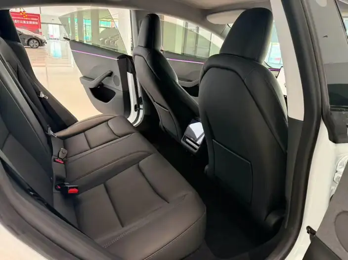 Model 3 2023 Model Rear-wheel drive version – фото 9
