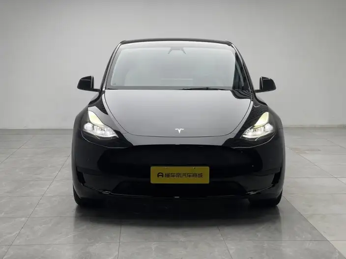 Model Y 2022 Model Rear-wheel drive version – фото 2