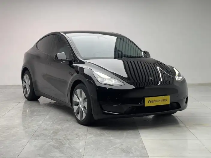 Model Y 2022 Model Rear-wheel drive version – фото 3