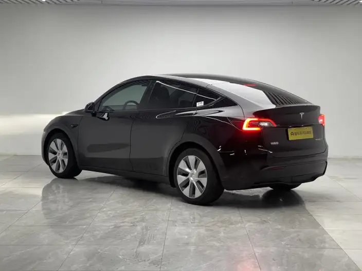 Model Y 2022 Model Rear-wheel drive version – фото 5