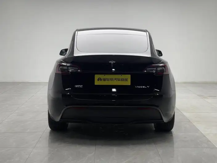Model Y 2022 Model Rear-wheel drive version – фото 6