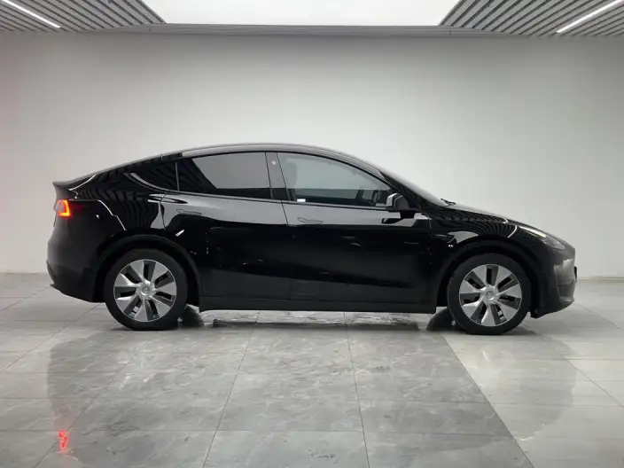 Model Y 2022 Model Rear-wheel drive version – фото 8