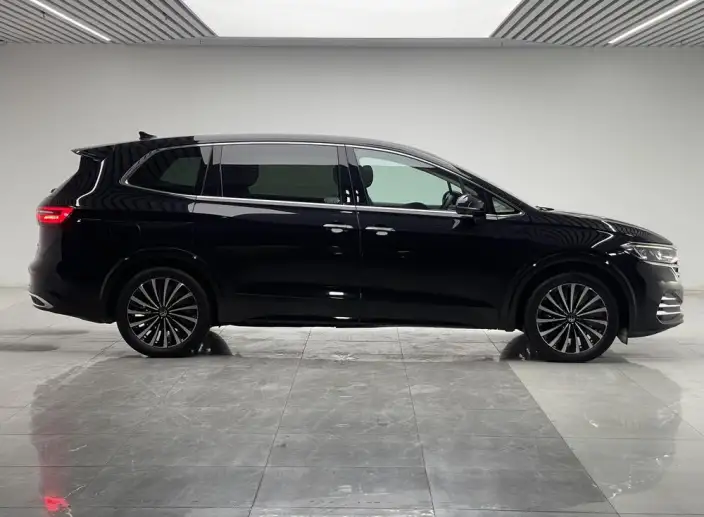 Viloran 2024 Model 380TSI Premium Edition – фото 8