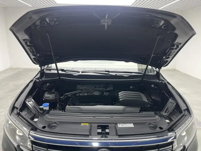 Viloran 2024 Model 380TSI Premium Edition – фото 10