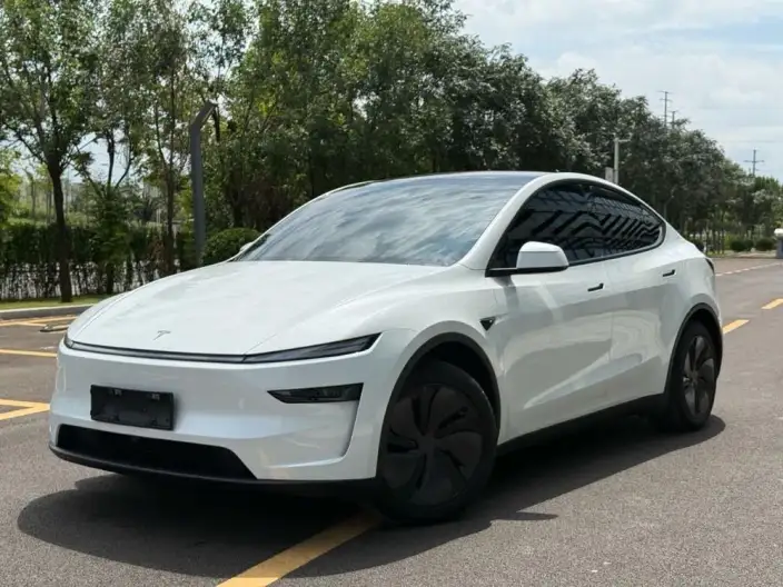 Model Y 2025 Model Rear-wheel drive version – фото 1