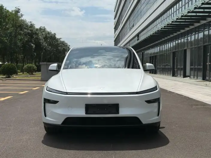 Model Y 2025 Model Rear-wheel drive version – фото 2
