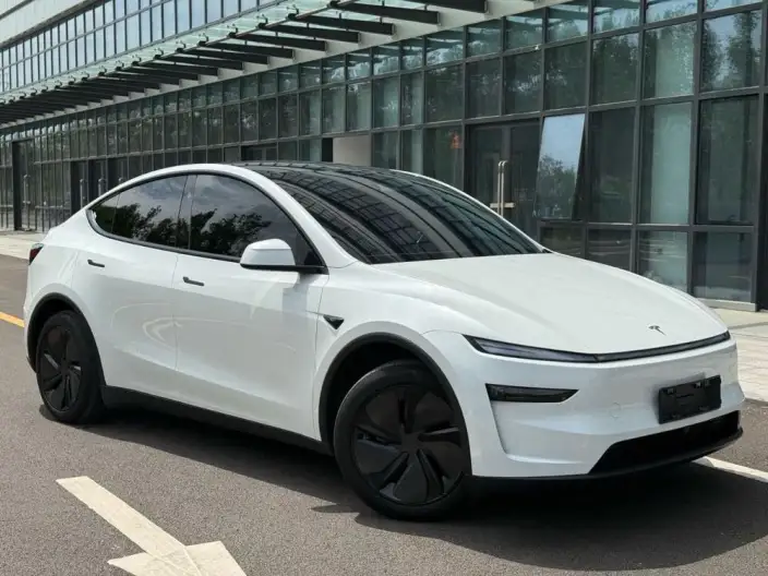 Model Y 2025 Model Rear-wheel drive version – фото 3
