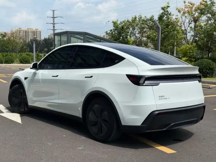 Model Y 2025 Model Rear-wheel drive version – фото 4