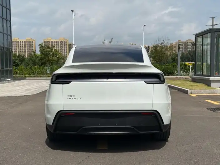 Model Y 2025 Model Rear-wheel drive version – фото 5