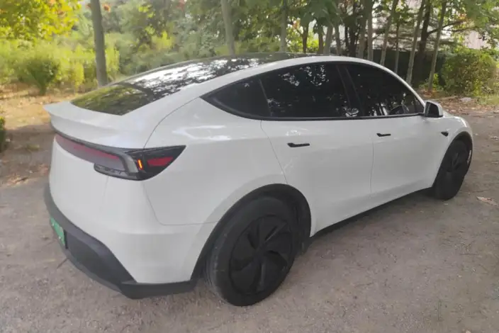 Model Y 2025 Model Rear-wheel drive version – фото 3