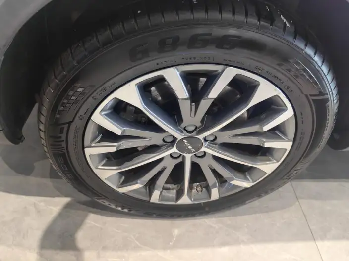Haval H6 2020 Model 1.5GDIT Automatic Platinum Champion Edition – фото 9