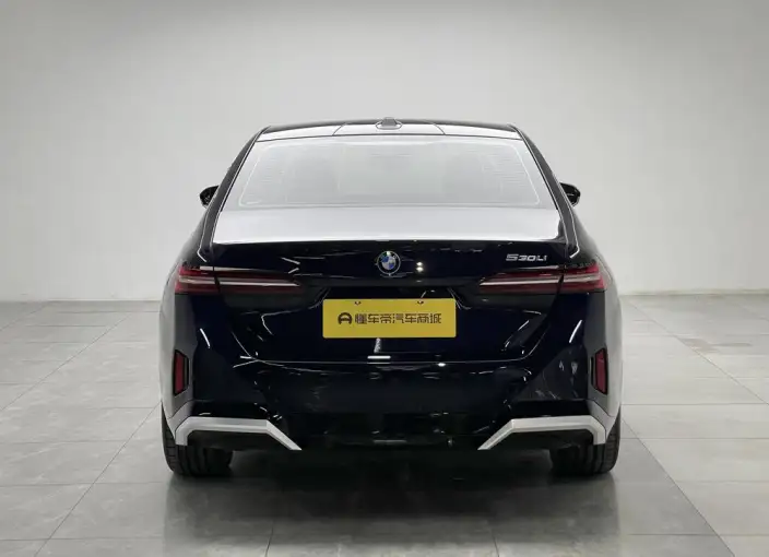 BMW 5 Series 2025 Model 530Li Leading Model M Sports Set – фото 6