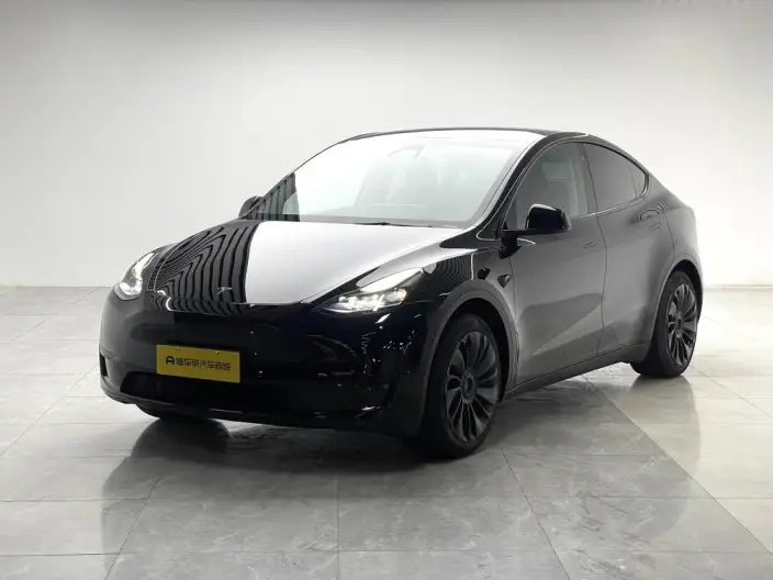 Model Y 2022 Model Facelift Rear-wheel drive version – фото 1