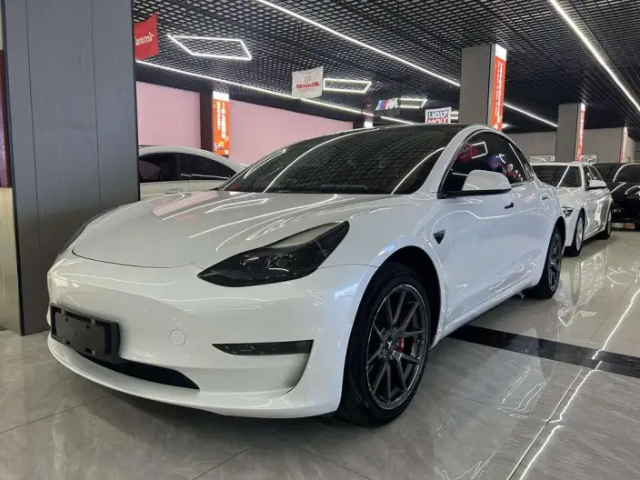Model 3 2022 Model Rear-wheel drive version – фото 1