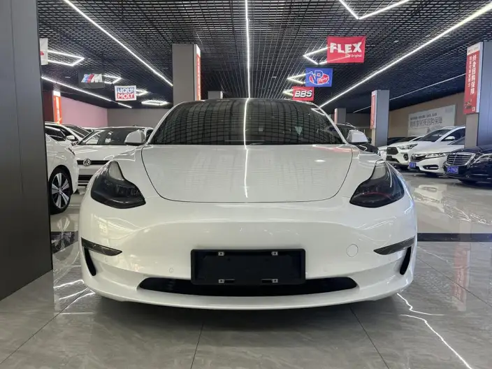 Model 3 2022 Model Rear-wheel drive version – фото 2