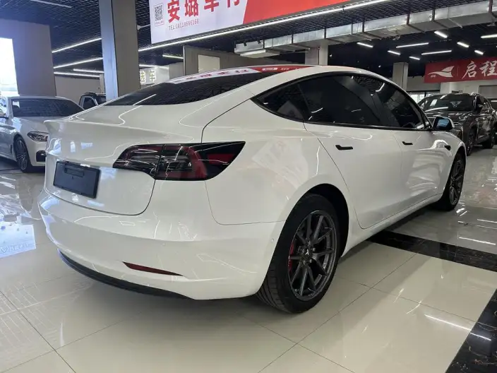 Model 3 2022 Model Rear-wheel drive version – фото 5