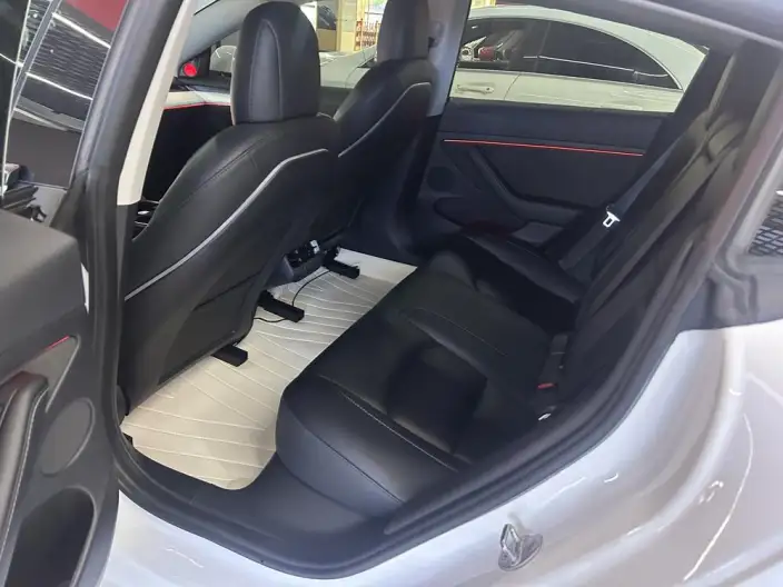 Model 3 2022 Model Rear-wheel drive version – фото 9