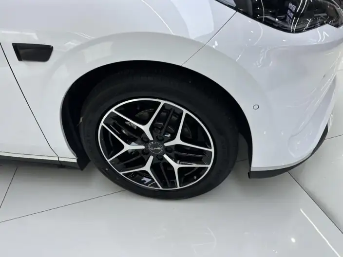 BYD Seal 06EV 2025 Model 545KM Flagship Model – фото 8
