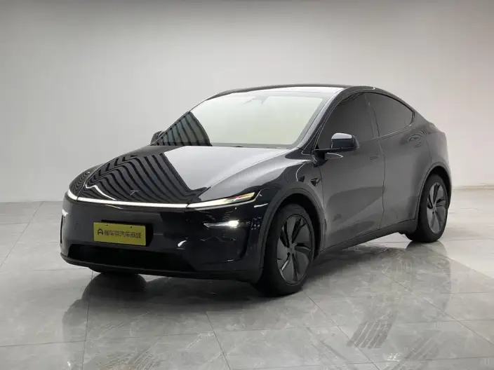 Model Y 2025 Model Rear-wheel drive version – фото 1