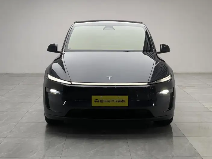 Model Y 2025 Model Rear-wheel drive version – фото 2