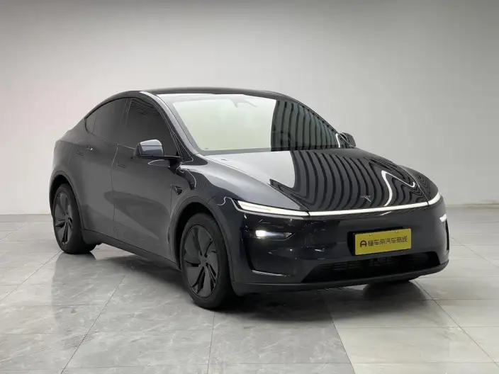 Model Y 2025 Model Rear-wheel drive version – фото 3