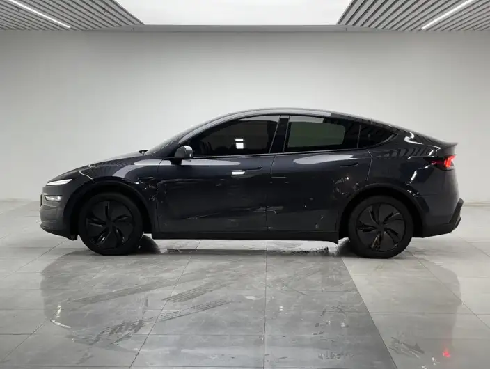 Model Y 2025 Model Rear-wheel drive version – фото 4