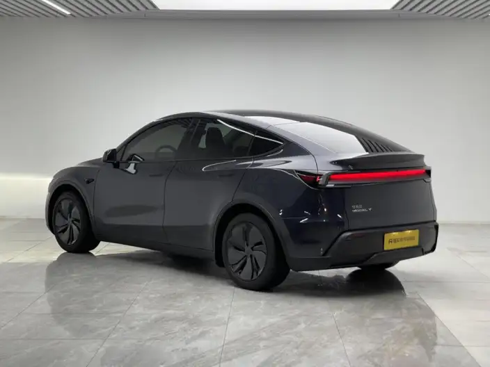 Model Y 2025 Model Rear-wheel drive version – фото 5