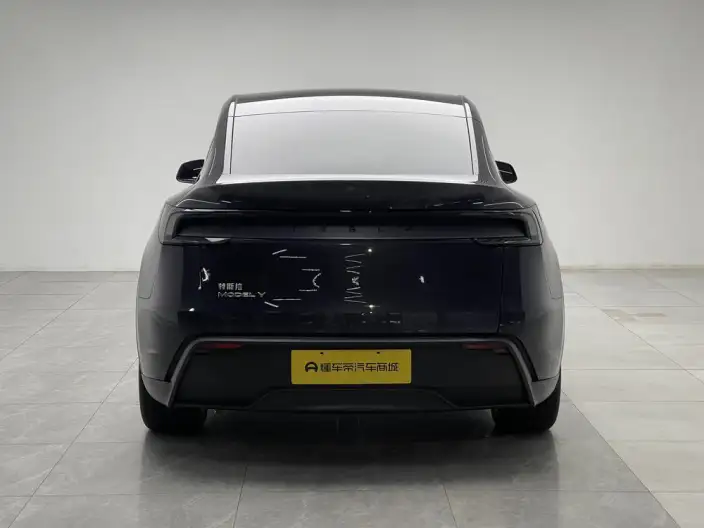 Model Y 2025 Model Rear-wheel drive version – фото 6