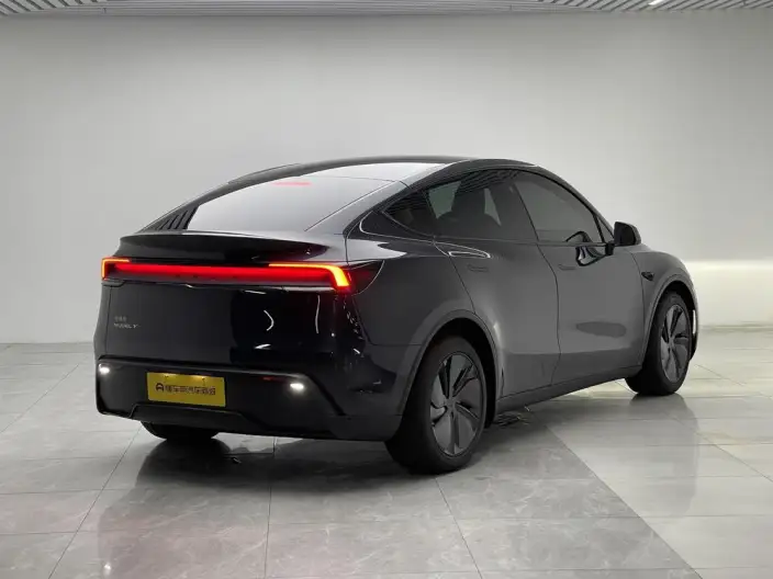 Model Y 2025 Model Rear-wheel drive version – фото 7
