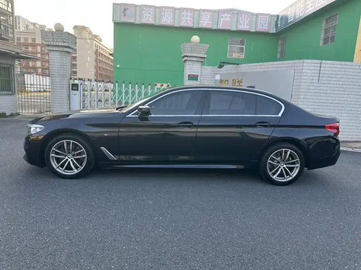 BMW 5 Series 2020 Model 525Li M Sports Set – фото 3