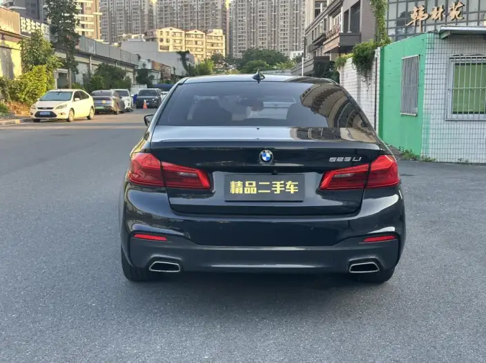 BMW 5 Series 2020 Model 525Li M Sports Set – фото 5