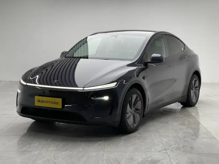 Model Y 2025 Model Rear-wheel drive version – фото 1