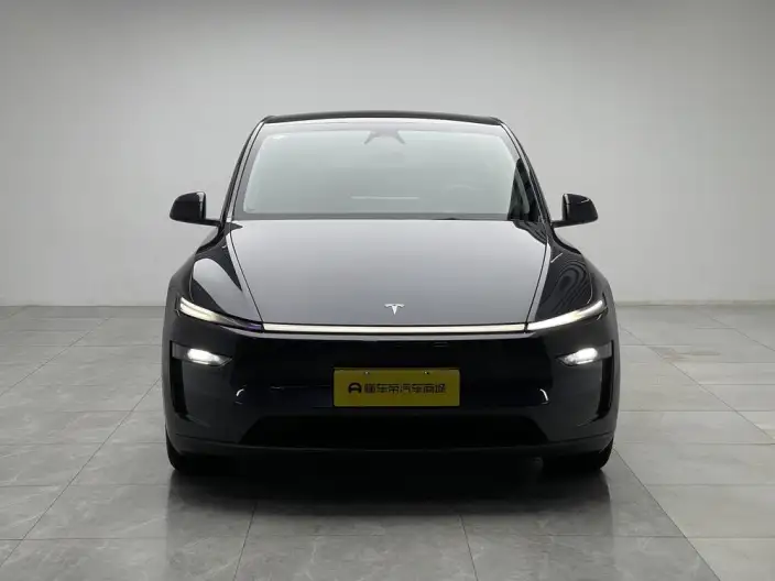 Model Y 2025 Model Rear-wheel drive version – фото 2