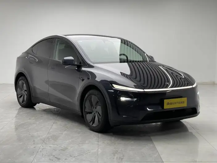 Model Y 2025 Model Rear-wheel drive version – фото 3