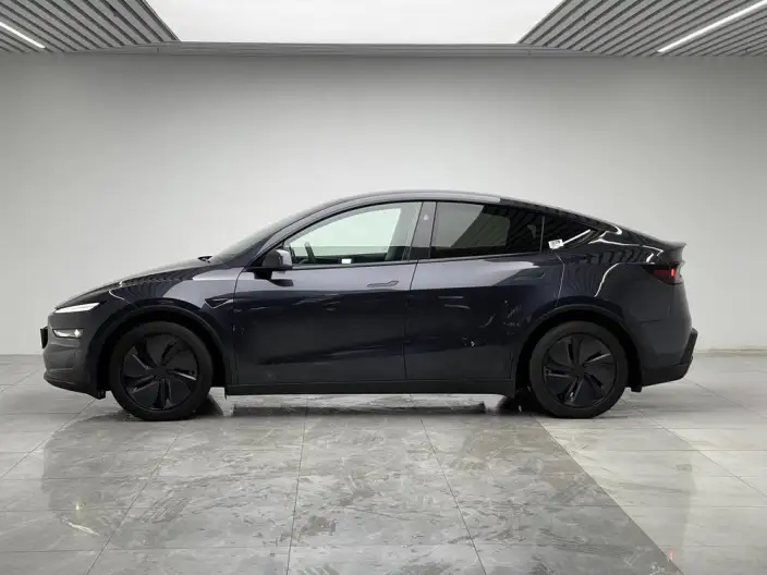 Model Y 2025 Model Rear-wheel drive version – фото 4