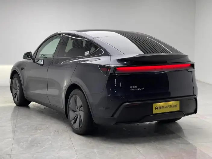 Model Y 2025 Model Rear-wheel drive version – фото 5