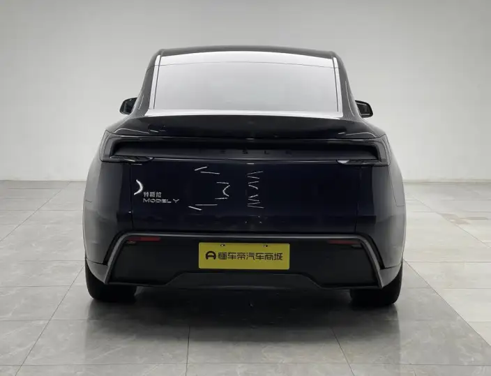 Model Y 2025 Model Rear-wheel drive version – фото 6