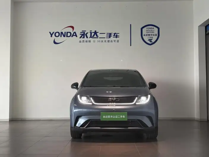 BYD Dolphin 2024 Model Honor Edition 420km Free Edition – фото 2