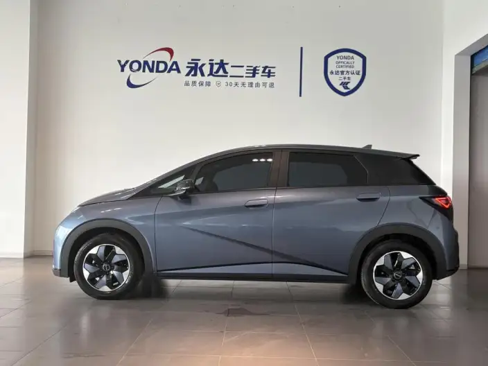 BYD Dolphin 2024 Model Honor Edition 420km Free Edition – фото 3