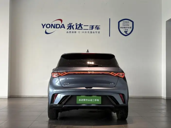 BYD Dolphin 2024 Model Honor Edition 420km Free Edition – фото 4