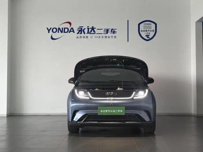 BYD Dolphin 2024 Model Honor Edition 420km Free Edition – фото 7