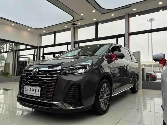 Buick GL8 2023 Model Business class 2.0T Luxury Model – фото 1