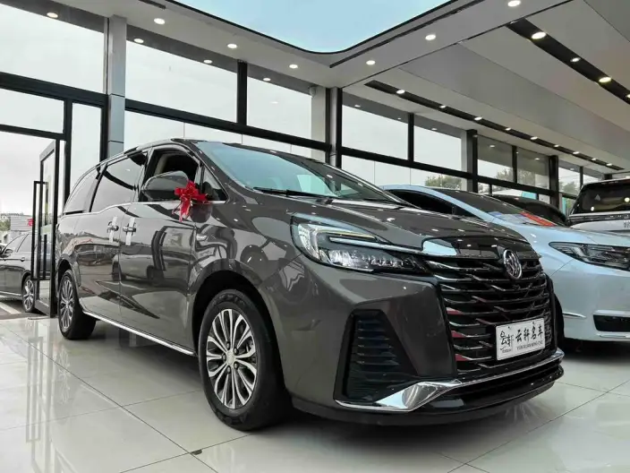 Buick GL8 2023 Model Business class 2.0T Luxury Model – фото 3