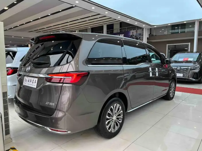 Buick GL8 2023 Model Business class 2.0T Luxury Model – фото 4