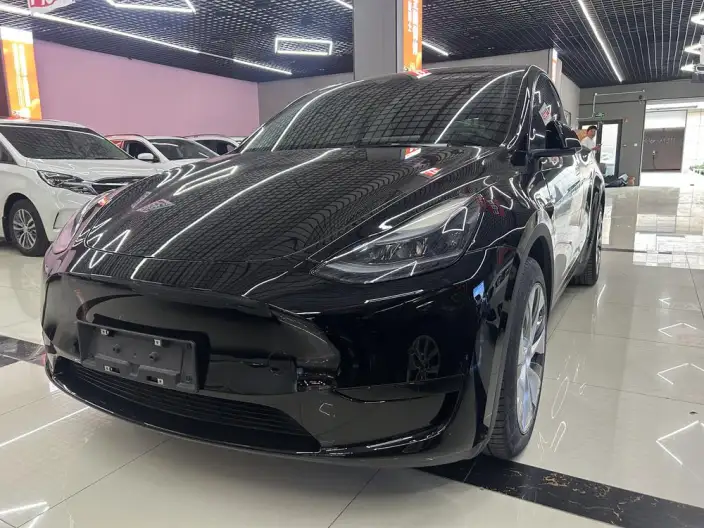 Model Y 2023 Model Rear-wheel drive version – фото 1