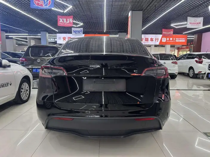 Model Y 2023 Model Rear-wheel drive version – фото 4