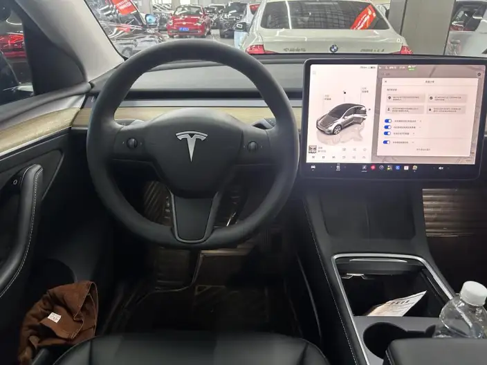 Model Y 2023 Model Rear-wheel drive version – фото 8