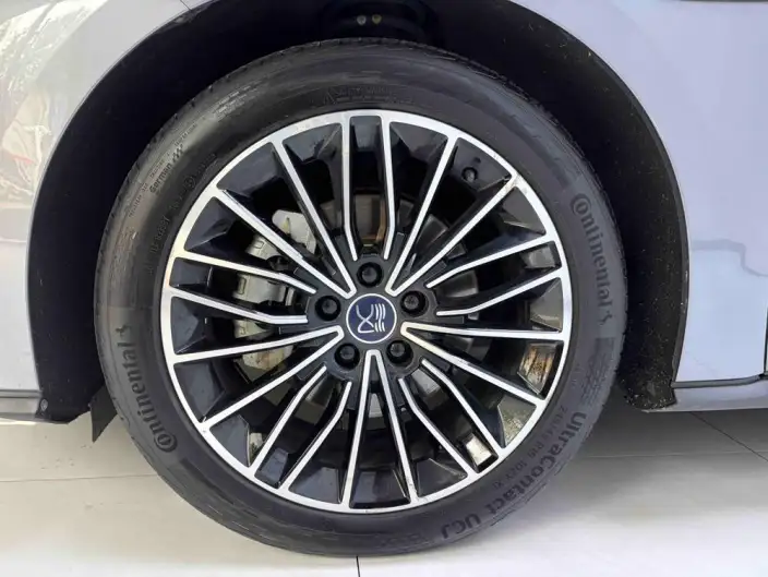 BYD Han EV 2021 Model Standard battery life version Luxury Model – фото 9